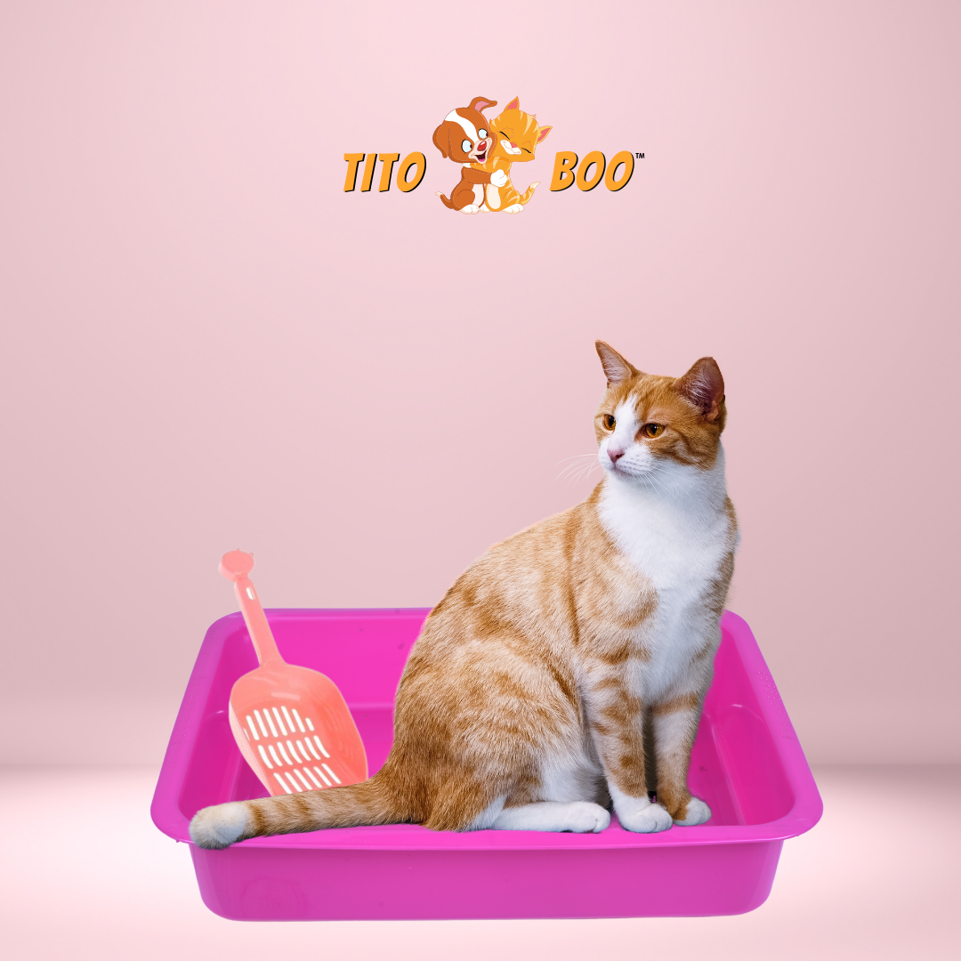 Tito Boo Premium Cat Litter Tray + Scooper (Assorted Colors)